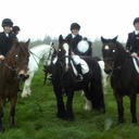 alex whitty - @alexwhitty13 - Twitter