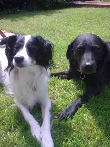 alirick77's profile picture. 