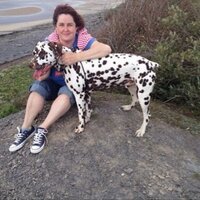 Jen Nemeth (@jennemeth38) 's Twitter Profile