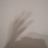 gregeboy's profile image