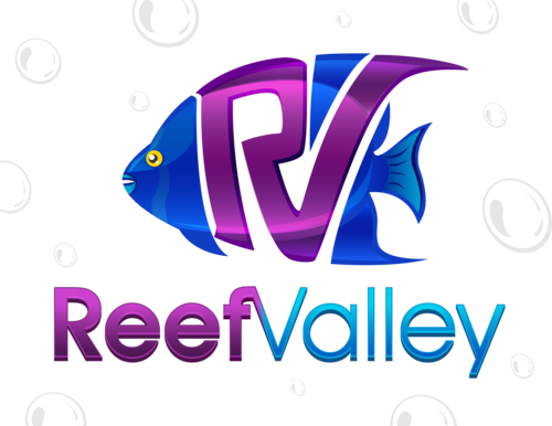 ReefValley's profile picture. High end aquarium in Mcallen, TX. Specializing in tropical fish, coral, and equipment. We also offer contemporary custom tank services, and maintenance.