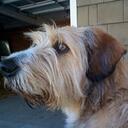 Stacey Vincent - @RESQ1 - Twitter