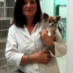 Riverbend Veterinary (@riverbendveteri) Twitter profile photo Riverbend Veterinary (@riverbendveteri) Twitter profile photo