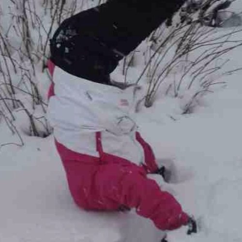 charlieq01's profile picture. 