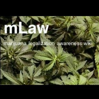 visit, support, enlarge the marijuana legalization awareness wiki for information on legalization&medical marijuana initiatives and policy shifts