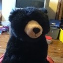 ali nolan - @grahamnali - Twitter