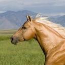 Carrie Baum - @Carrieanne867 - Twitter