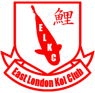 East London Koi Club, meetings will be held on the third Sunday of each month at 12pm, at the Eastbrook Pub, Dagenham Road, Dagenham, Essex RM10 7UP.