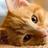 malta_kanoo's profile image