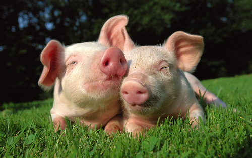 vbas2's profile picture. 