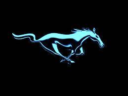 cmwsga Profile Picture