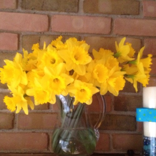 susaningraham's profile picture. We are free-lance court reporters in Ohio with over 100 years' combined experience.  Let us know how we can serve you!