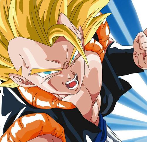 I am not goku or vegeta i am gogeta its over *user* i come for you fusion of @xxkakarotxxss3 @vegeta_hedgehog