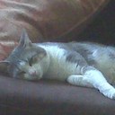 Lorrie Baker - @gardnerleev - Twitter