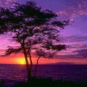 K.C & CO. ™ - @KrystenMoore2 - Twitter