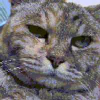 chiduko (@884) 's Twitter Profile