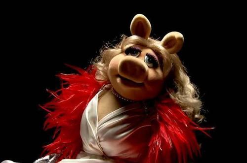 Issue d'une grossesse non désirée , à mes heures  Miss catastrophe et partisane du moindre effort je suis une grosse larve , voilà !
