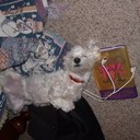 Larry Alvarez - @BillingsGrant - Twitter