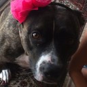 Allison Haas - @aahaas77 - Twitter