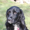 James Leishman - @clearly4u - Twitter