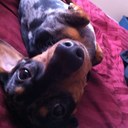 Leah Laird - @LairdLeah - Twitter