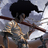bigbadsuperaff's profile image