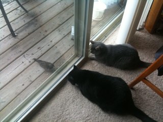 bethelove29's profile picture. 