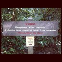 Preston - @PrestonChastain - Twitter