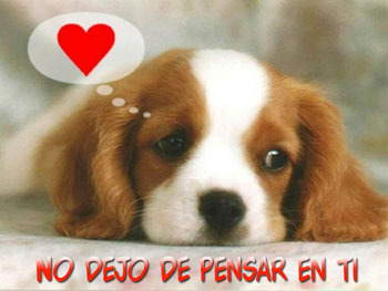 Si sabes como vivir, puedes vivirlo todo :DD