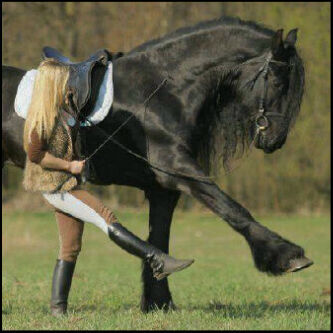 ‏​آلبعض : من آلناس يجبرك على / فعل آلخير لهہ واالسبب آخلاقهہ♥