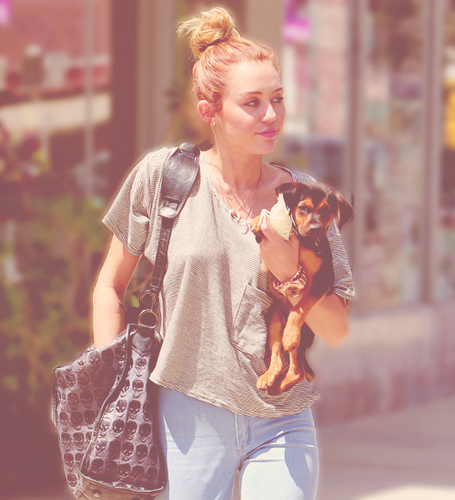 Bio? Pra que isso? Eu sou casada com a Demi Lovato, não preciso disso não.Adeus bitches. Dona do: @iBieberTheKing