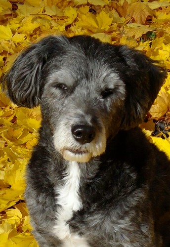 ContdThought's profile picture. 