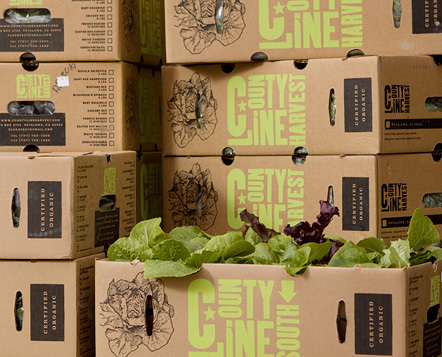 Farming organically in Petaluma and Thermal, California. Striving to provide the freshest, most flavorful produce we can grow.