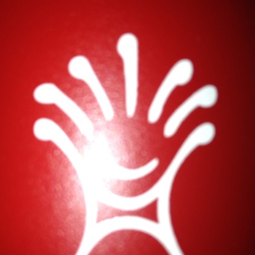 EFinlay5's profile picture. 