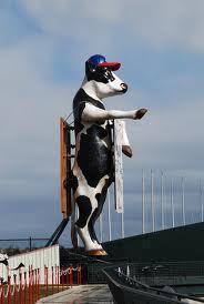 I'm the cow that does the tomahawk chop in deep left at Turner Field. I'll sell you this domain for way cheap, probably.