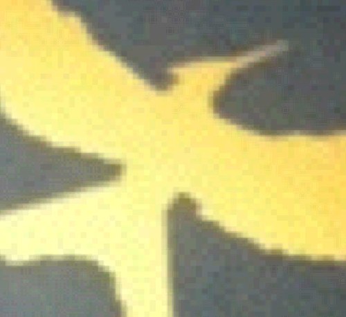 SeniorFitz1's profile picture. I am officially part of District Six