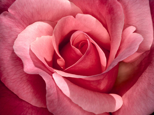 The RC, birthed to cater to every need. Everything from romantic relationships to just plain old counselling. You need it, we got it! #LoveALittle +447851423776