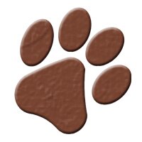 Stray Dog Theatre (@straydogtheatre) 's Twitter Profile