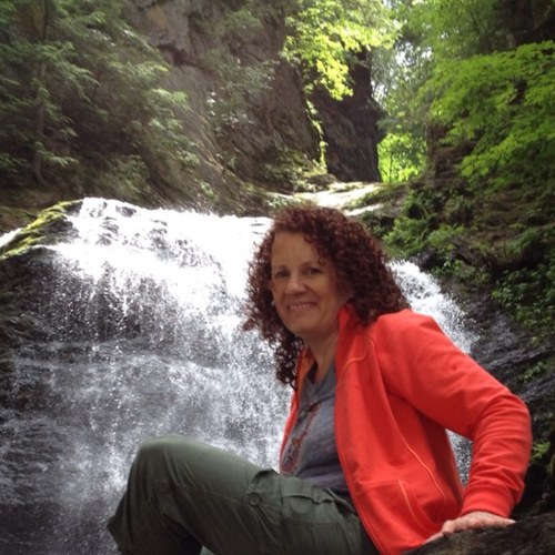 dcapaccioli's profile picture. 