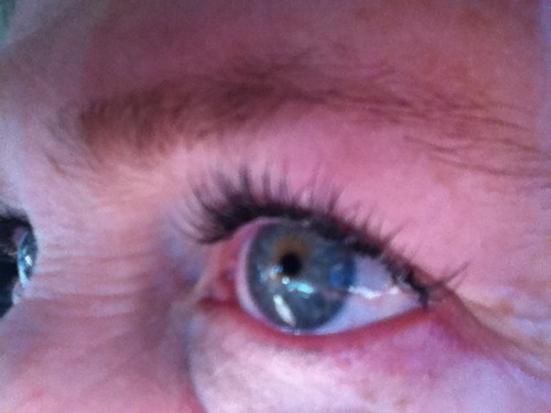 TalkingDogz's profile picture. Marvel PS4SpiderMan Metal Gear Solid