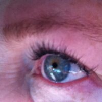 Kris Zimmerman (@talkingdogz) 's Twitter Profile