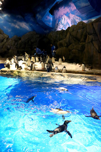 UpcomingHK's profile picture. 