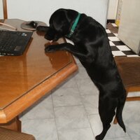 Tavo (@gusrubas) 's Twitter Profile
