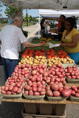 The Y in Lino Lakes Farmer's Market