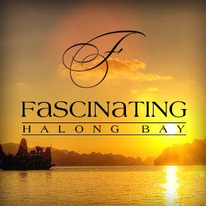 Official booking Agent of Halong Bay Cruises
sales@fascinatinghalongbay.com