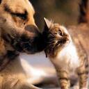 lola pierce - @sunshine178 - Twitter