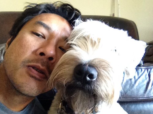 arnoldcruz9's profile picture. 