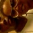 Tia Dosewell (@tiad330) Twitter profile photo