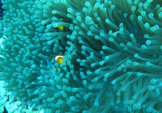 Brockbernd's profile picture. Ondernemer, inspirator en levens genieter. mijn moto is Beter op je bek gaan dan niets ondernemen.