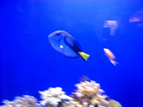 lapisluna1's profile picture. positiva, alegre,curiosa, proactiva, con mucha entereza, luchadora, extrovertida, trabajadora, me encanta viajar y conocer, no contesto a trolls 💅🖕